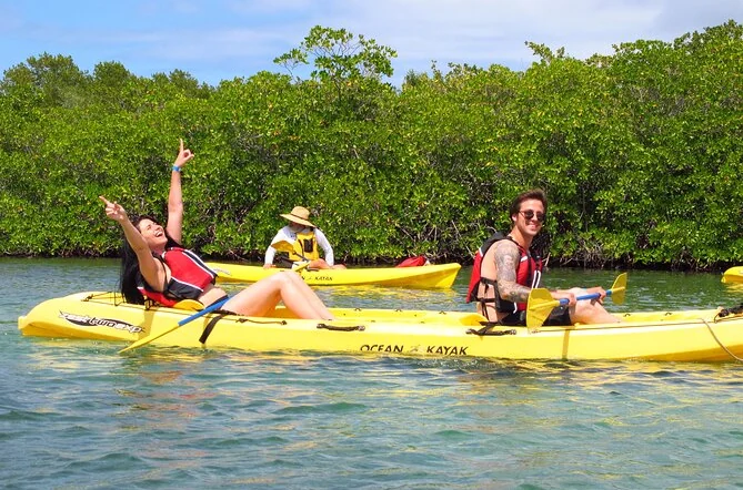 Mangrove Lagoon Kayak & Snorkel